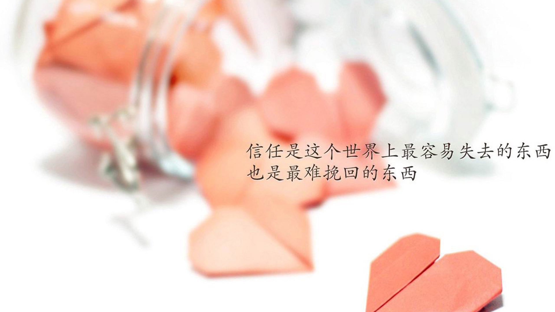 世界划手会师成都，共绘湖上竞技图