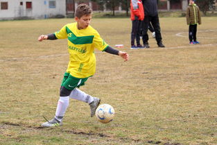 开云电竞平台-VAR的利弊:它真的让比赛更公平了吗?,var和var